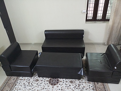 DCM2 Sofa Cum Bed