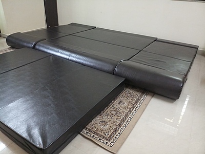DCM2 Sofa Cum Bed